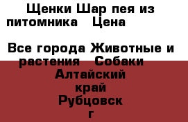 Щенки Шар пея из питомника › Цена ­ 25 000 - Все города Животные и растения » Собаки   . Алтайский край,Рубцовск г.